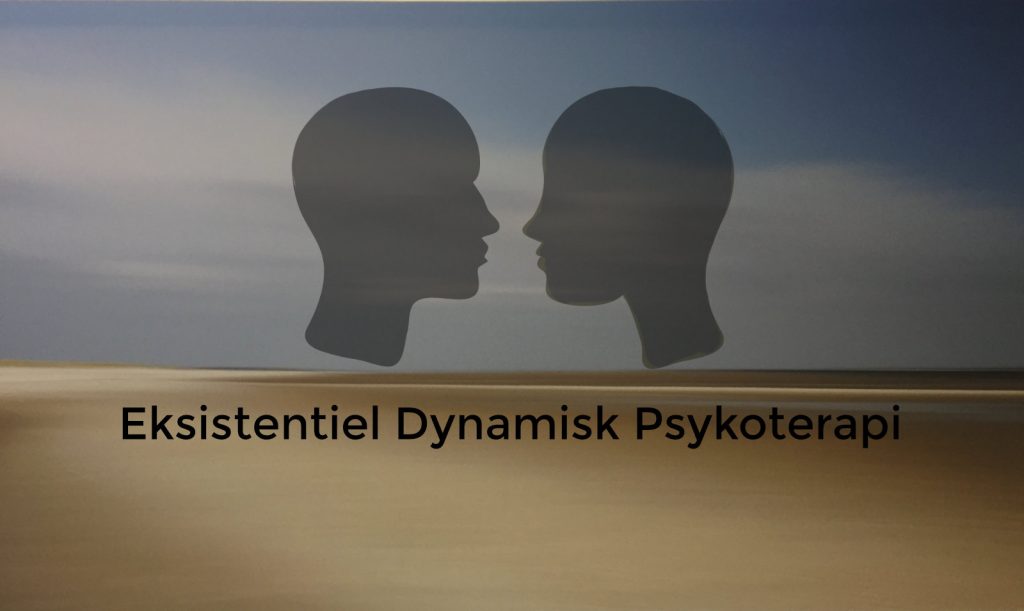 evalueret psykoterapeutuddannelse